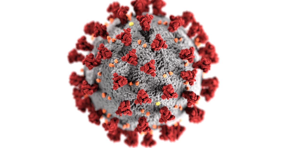 An illustration, created at the Centers for Disease Control and Prevention (CDC), reveals ultrastructural morphology exhibited by coronaviruses.