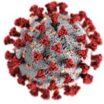 An illustration, created at the Centers for Disease Control and Prevention (CDC), reveals ultrastructural morphology exhibited by coronaviruses.