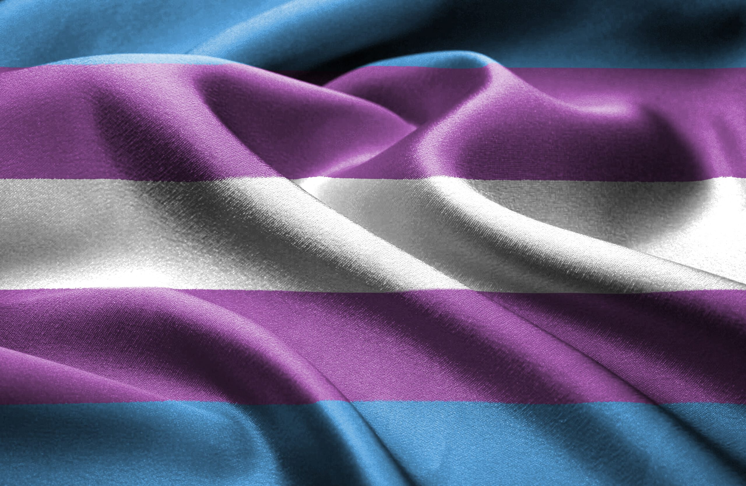 Image related to On Transgender Day of Visibility, Wisconsin Republicans Remain Shortsighted and Narrow-minded
