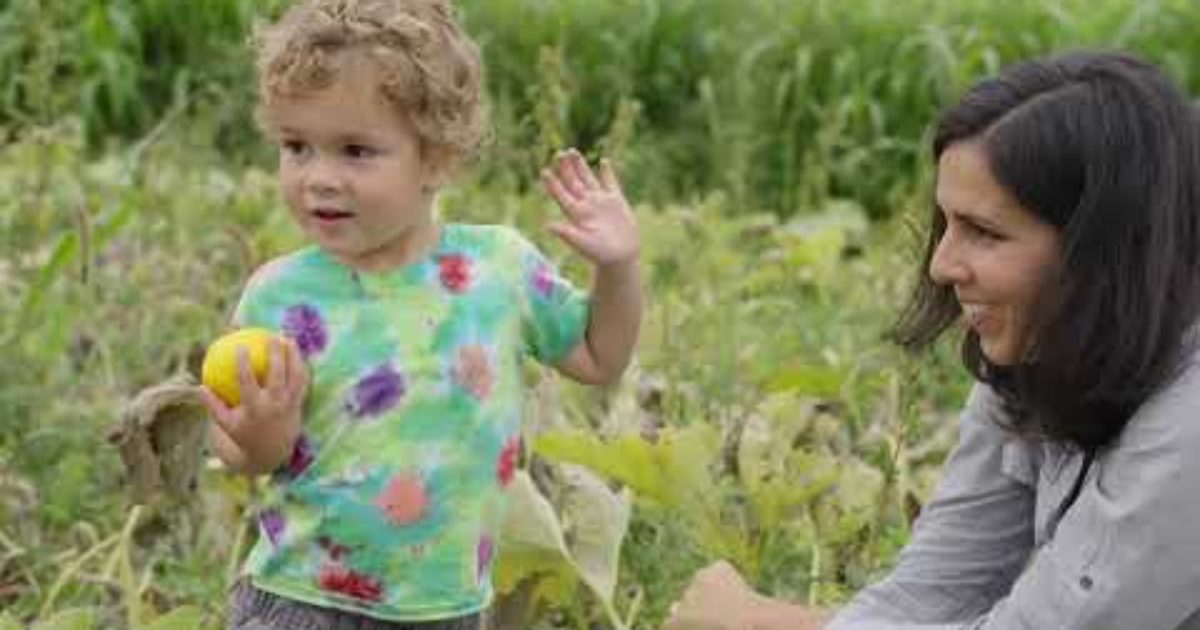 Image related to Parental Leave